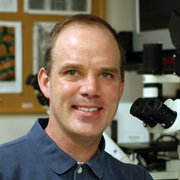 Patrick C Nahirney