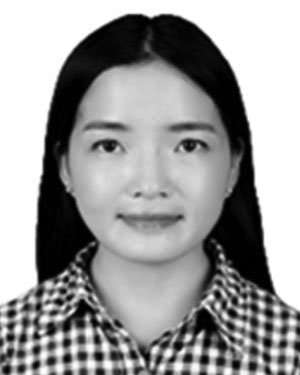 Yajing Si
