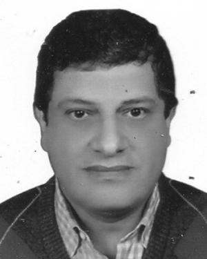 Ashraf O. Nassef