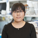 Yongxia Zhu