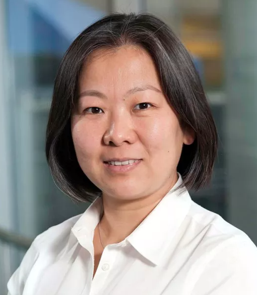 Li-Xuan Qin