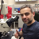 Alessandro Mangogna
