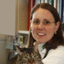 Ann E Hohenhaus