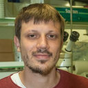 Filipp Bezold