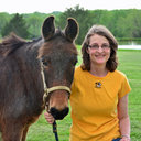 Gretchen K Carlisle