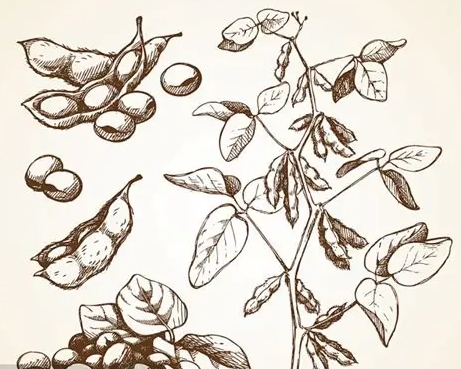 Cunhu Wang