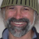 David M Fields