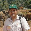 Buthgamu M A O Perera