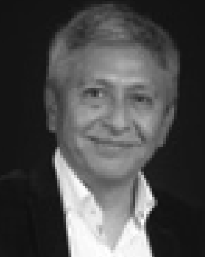 Ernesto D.R. Santibanez Gonzalez