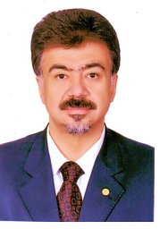 Hesham Aly Salem