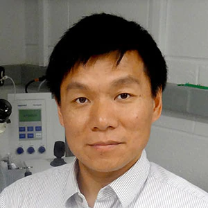 Yihong Ye