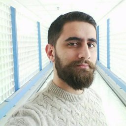Sina Parsnejad