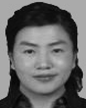 Hongyan Wang
