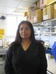Shamshad Cockcroft