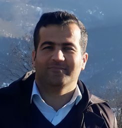 Parviz Heidari