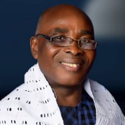 Anthony N. Ugbaja