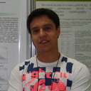 Luis Carlos Guimaraes