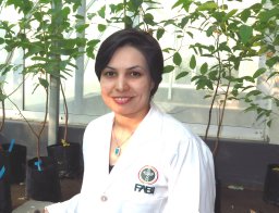 Fahimeh Jami