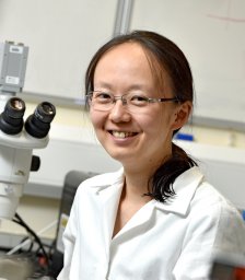 Yukie Tanino