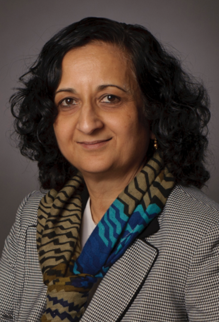 Anuradha Annaswamy