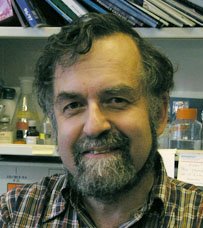 Dmitri A. Kramerov