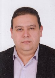 Amir E. Mehana