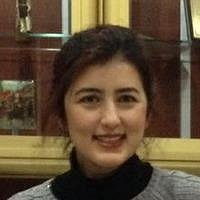 Ilknur Donmez