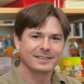 Christopher A. Voigt