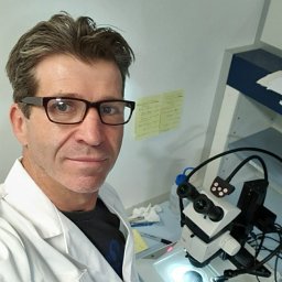 Brendan P. Kelaher