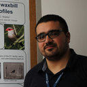 Paulo A. Silva