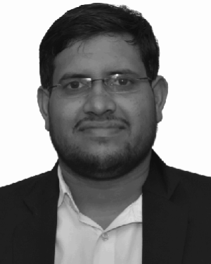 V. P. Meena