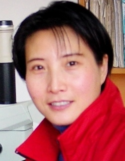 Ning Zhang