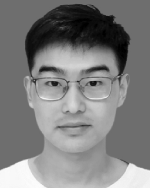 Hongxing Wang