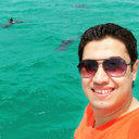 Ahmed A. El-Kalaawy