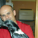 Andres Montesinos