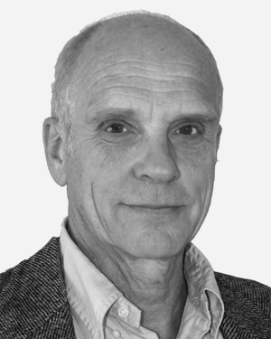 Goran Wendin
