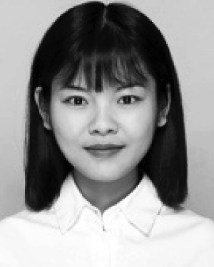Wen-Jie Liu