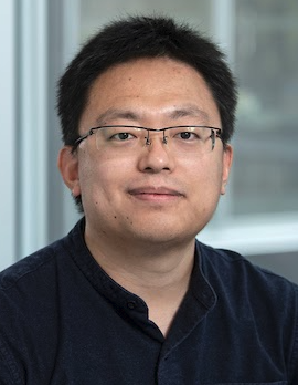 Xinxin Xiao