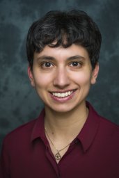 Mikhail Megan