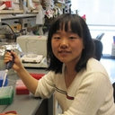 Xiao Peng