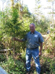 Jim L. Chambers