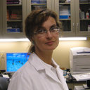 Elena V Skripnikova