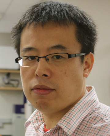 Guodong Niu