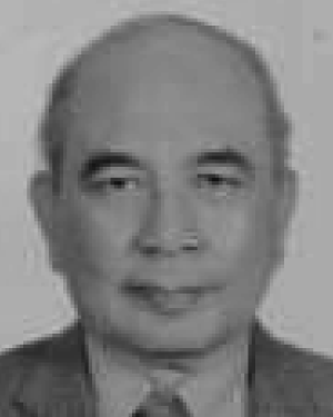 Ngapuli Irmea Sinisuka