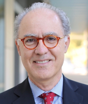Miroslav Krstic