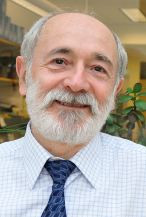 Boris Katz