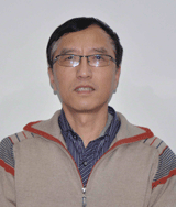 Xin Jin