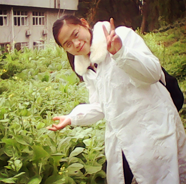 Jiao Chen
