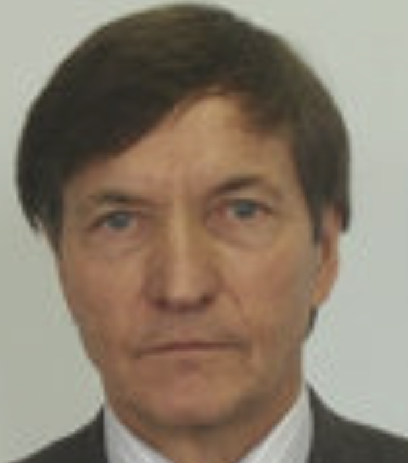 Nikolay N. Mirenkov