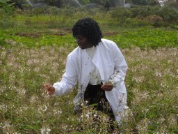 Mary Oyiela Abukutsa-Onyango